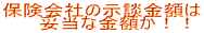 ��ʎ��̂ɂ��ی���Ђ̎��k���z�͓K���ȋ��z���I
